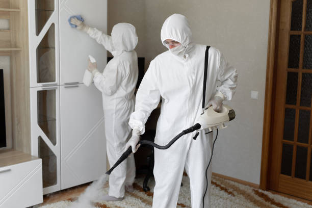 Professional Mold Removal in Ada, OK