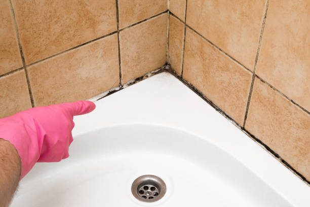 Best Mold Testing  in Ada, OK